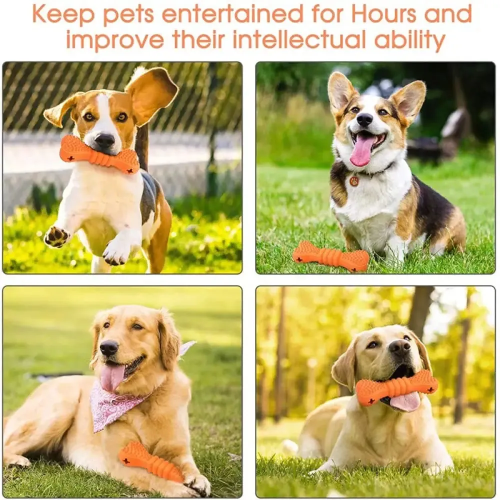 Bite Resistant Safe Food Dispensing Rubber Dog Chew Toys for Small Medium Large Dogs